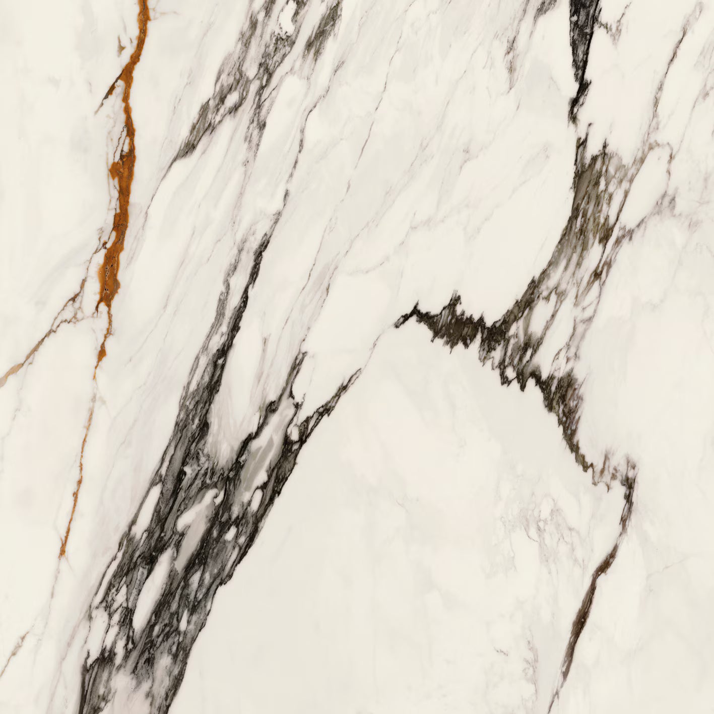 Paonazzo Biondo 120 x 120