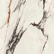 Paonazzo Biondo 120 x 120