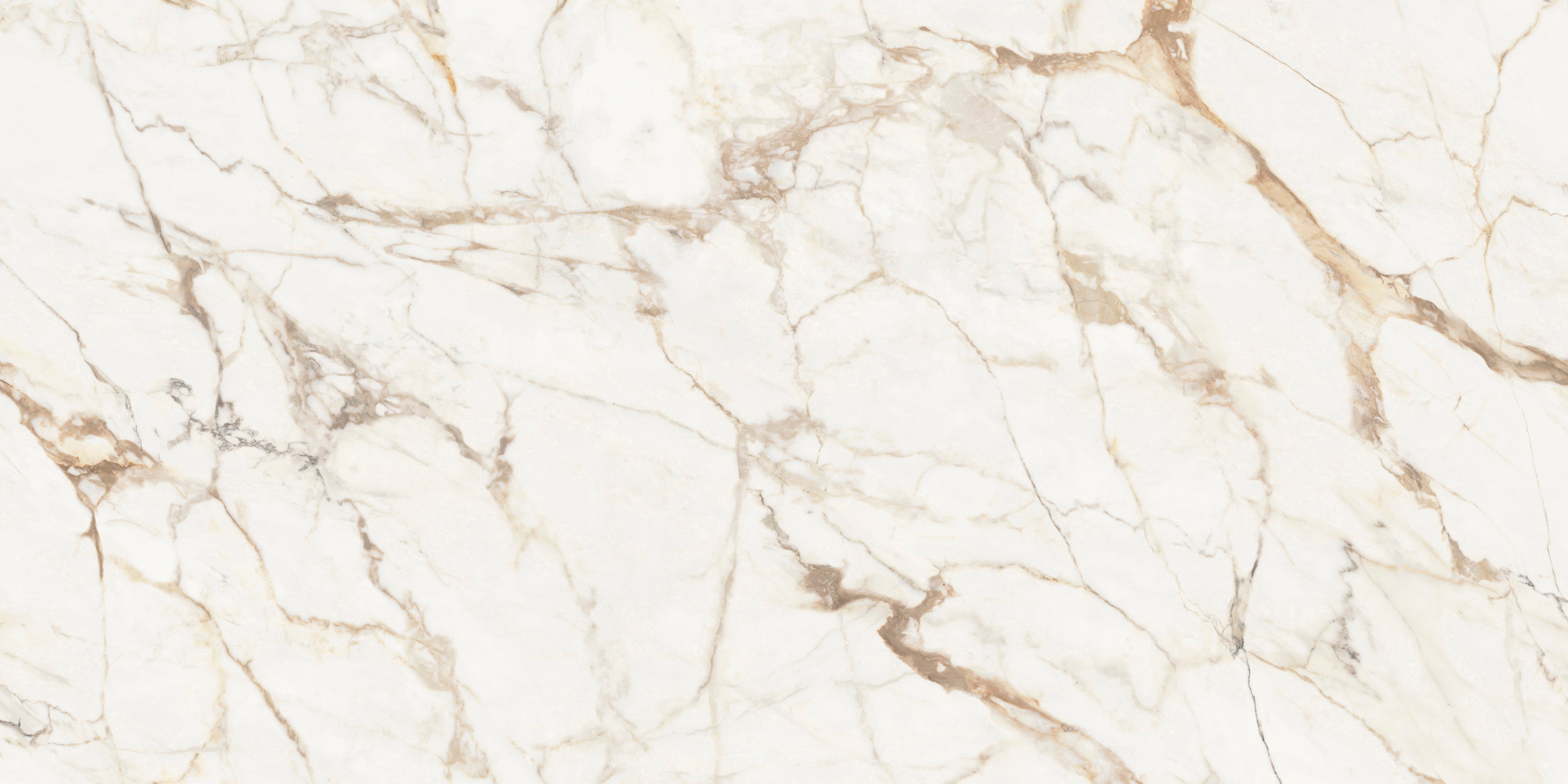Calacatta Gold XTONE