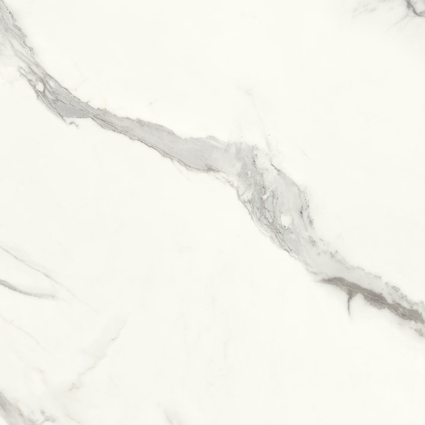 Aria White 120 x 120