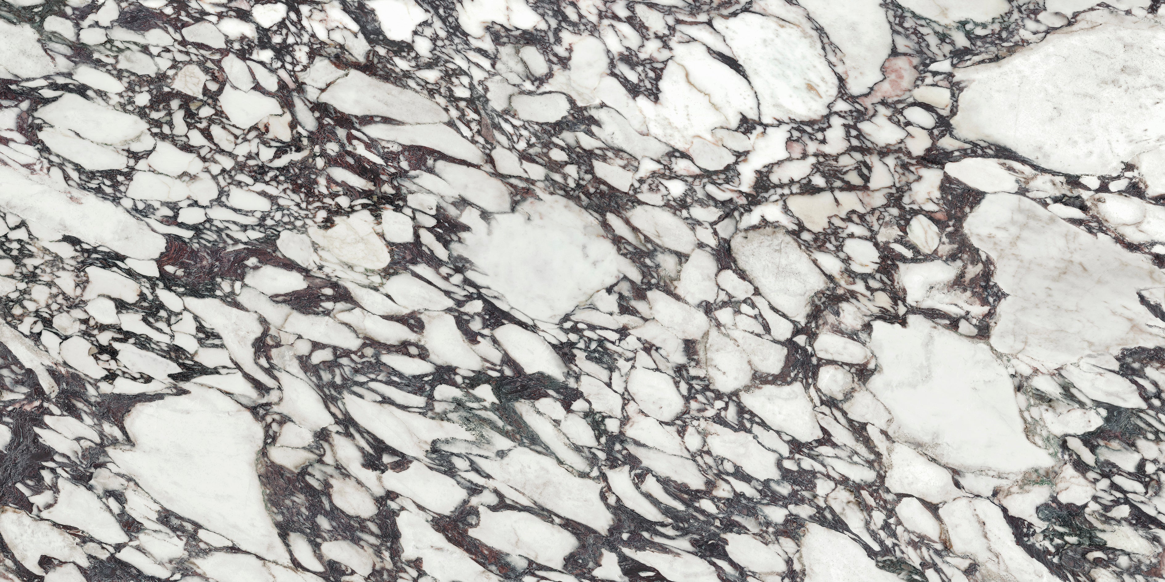 Calacatta Viola XTONE