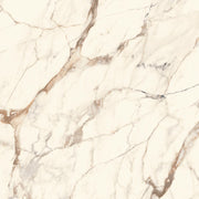 Calacatta Gold 120 x 120