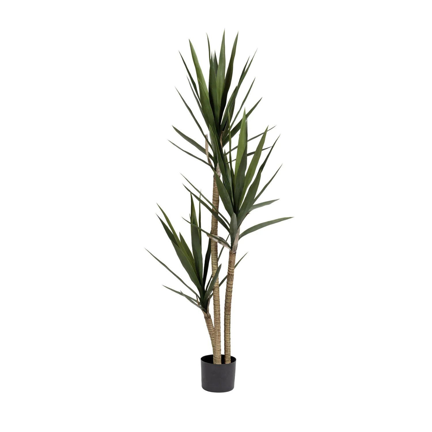 Yuccapalme i plastpotte H150 cm