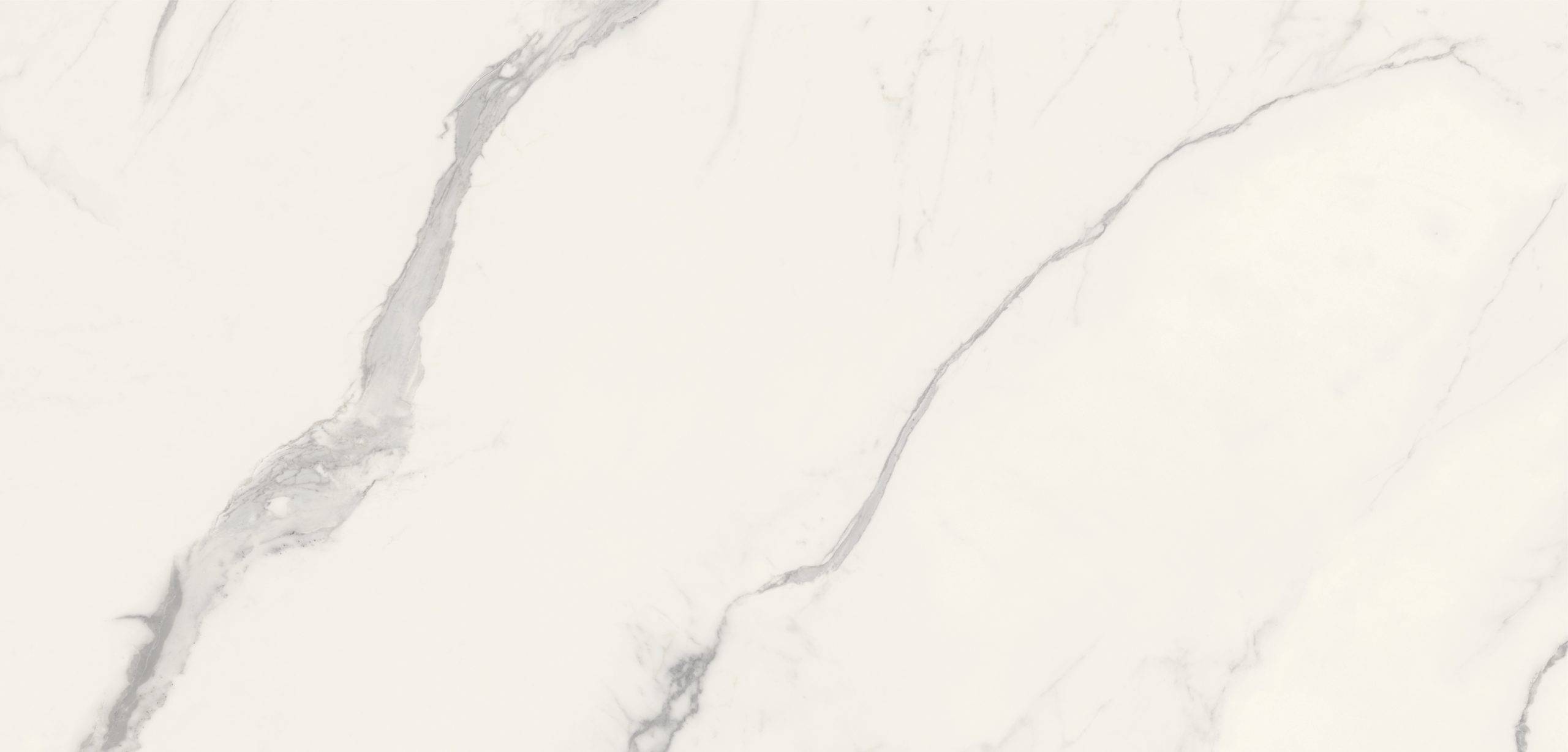 Aria White XTONE