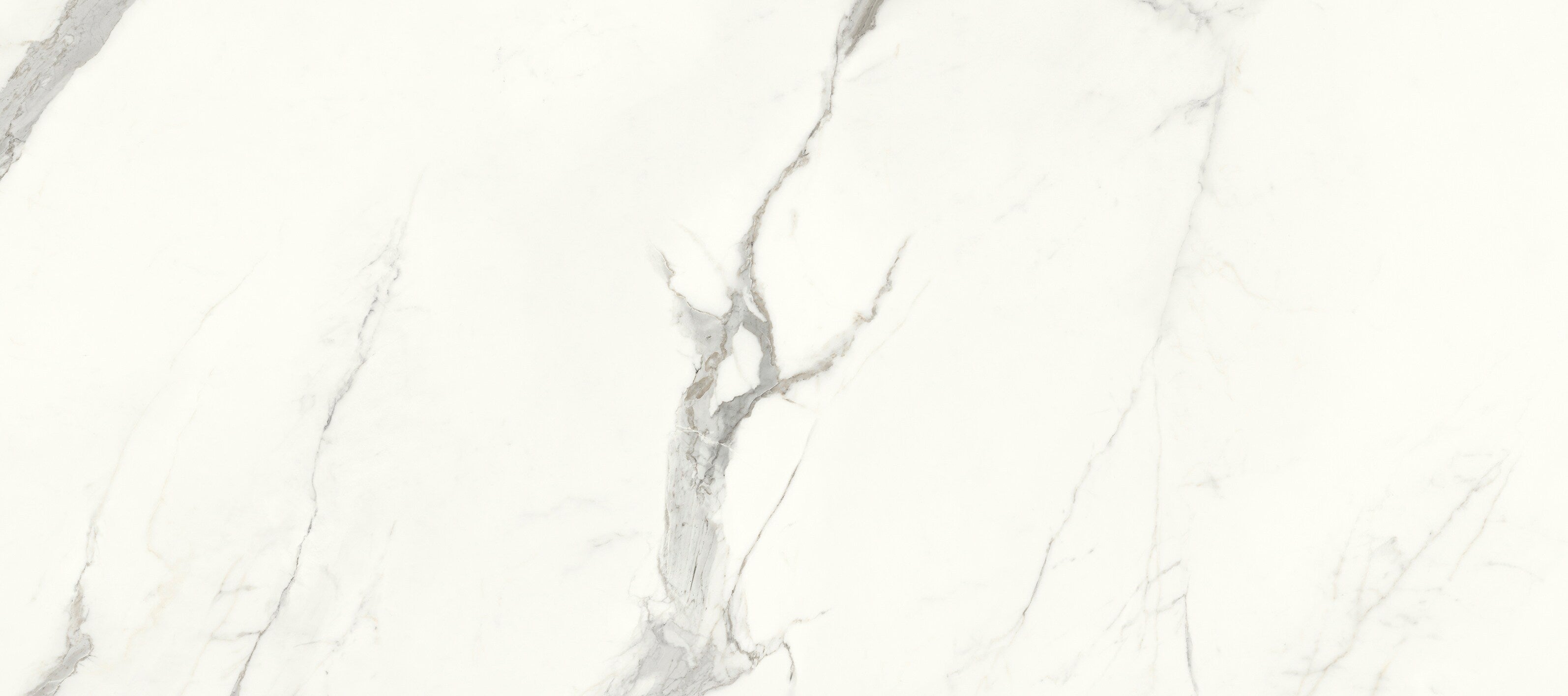 Aria White XLIGHT