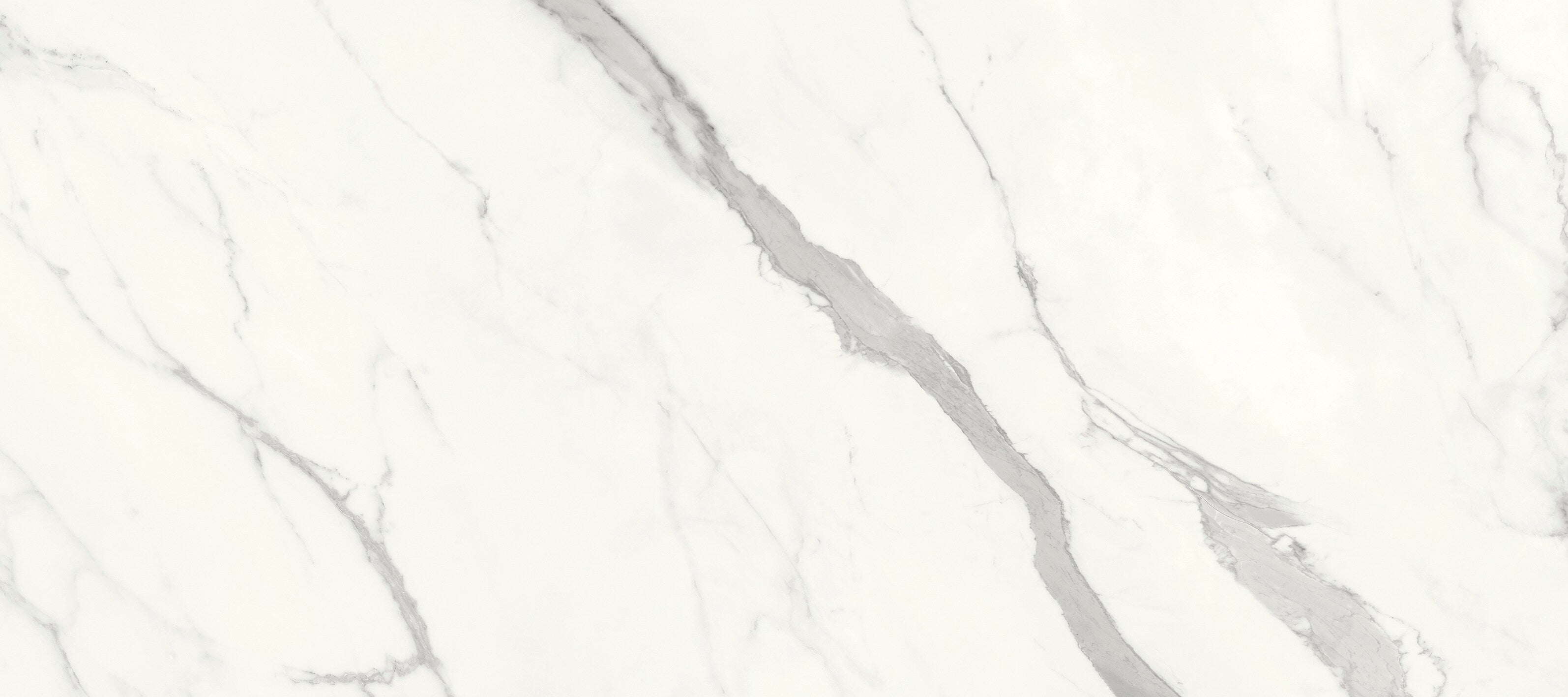 Aria White XLIGHT