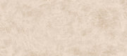 Ars Beige XLIGHT