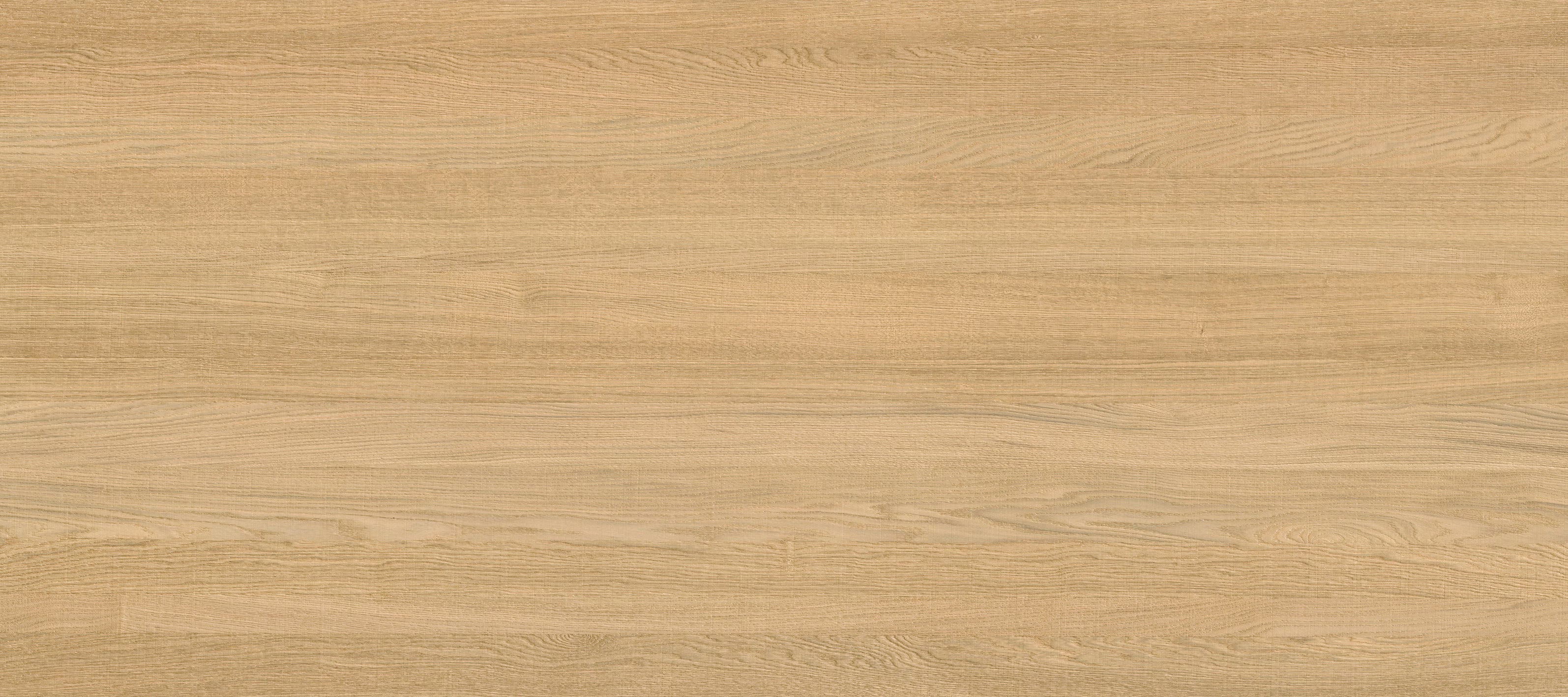 Cadore Arce XLIGHT
